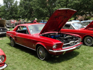 1967 Ford Mustang (owner: Tom Gouldy)